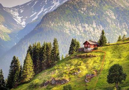Dalhousie Taxi