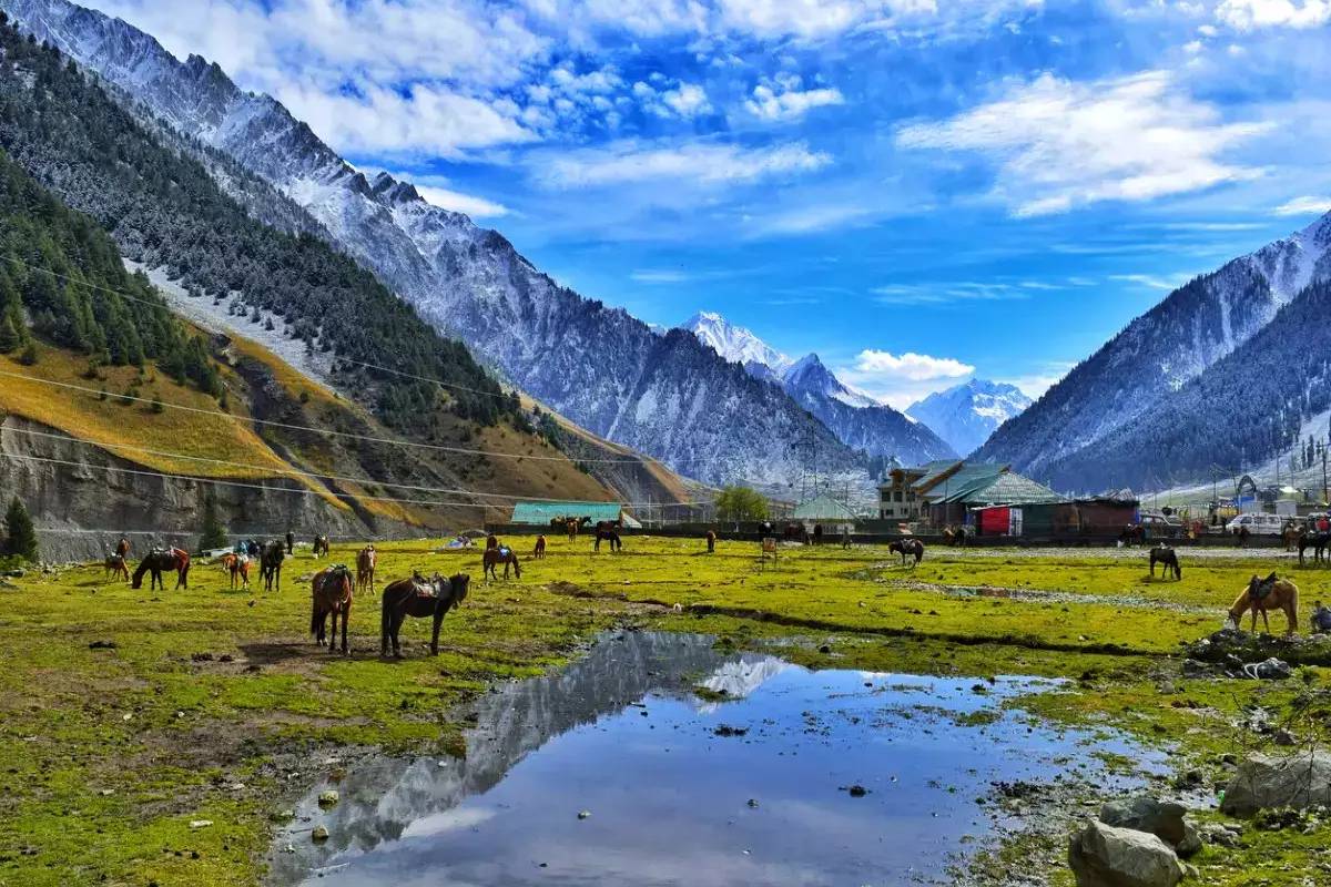 Sacred Vaishno Devi & Kashmir Tour