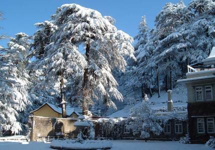 Shimla Taxi