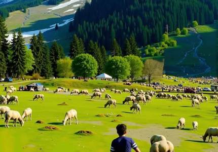 Chandigarh to Kashmir: Gulmarg & Pahalgam Tour
