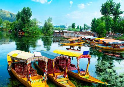 Kashmir Dreamscape from Amritsar
