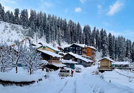 Manali 2 Nights 3 Days Tour
