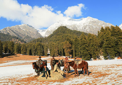 Ultimate North Tour: Chandigarh to Kashmir Experience