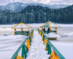 Dalhousie Tour